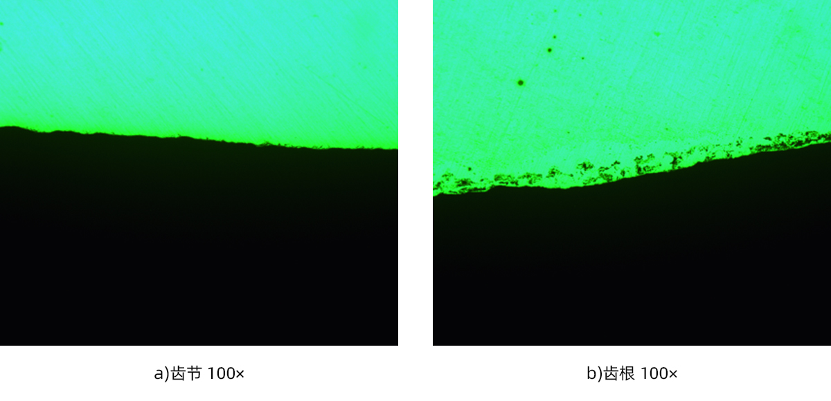 1744855652612291.jpg 5.jpg