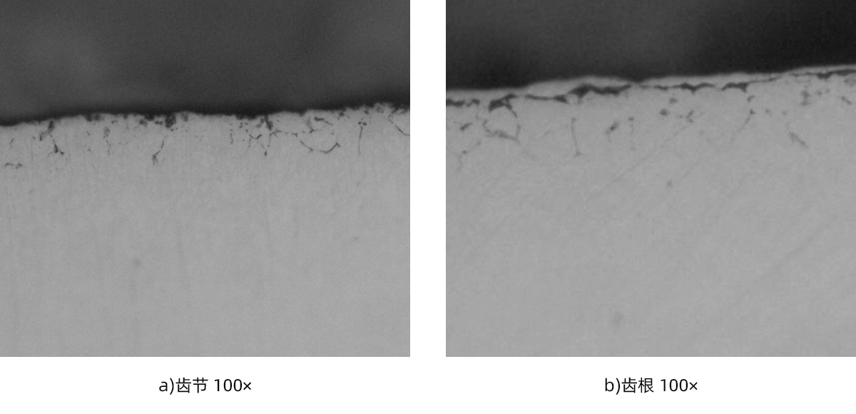 1744855672160295.jpg 8.jpg