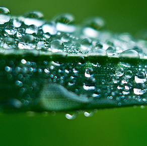 重慶義揚(yáng)機(jī)電設(shè)備有限公司